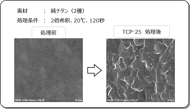 TCP-25